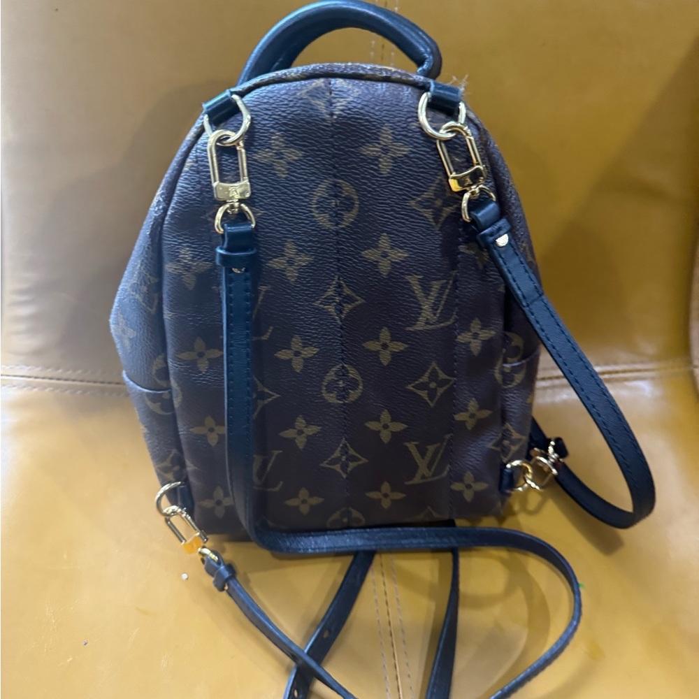 Louis Vuitton Monogrammed Palm Springs mini back pack - Picture 10 of 16